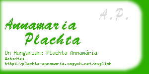 annamaria plachta business card